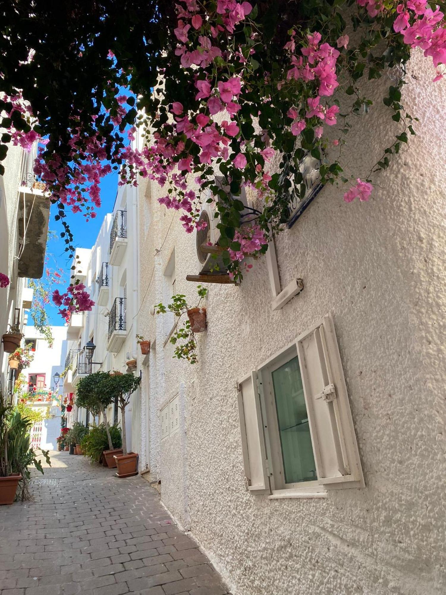 Aura Mar Mojacar Apartment מראה חיצוני תמונה